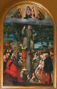 St. Anthony of Padua tree